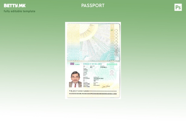 Модерен стил шаблон за пропусница на Белорусија (сегашна).